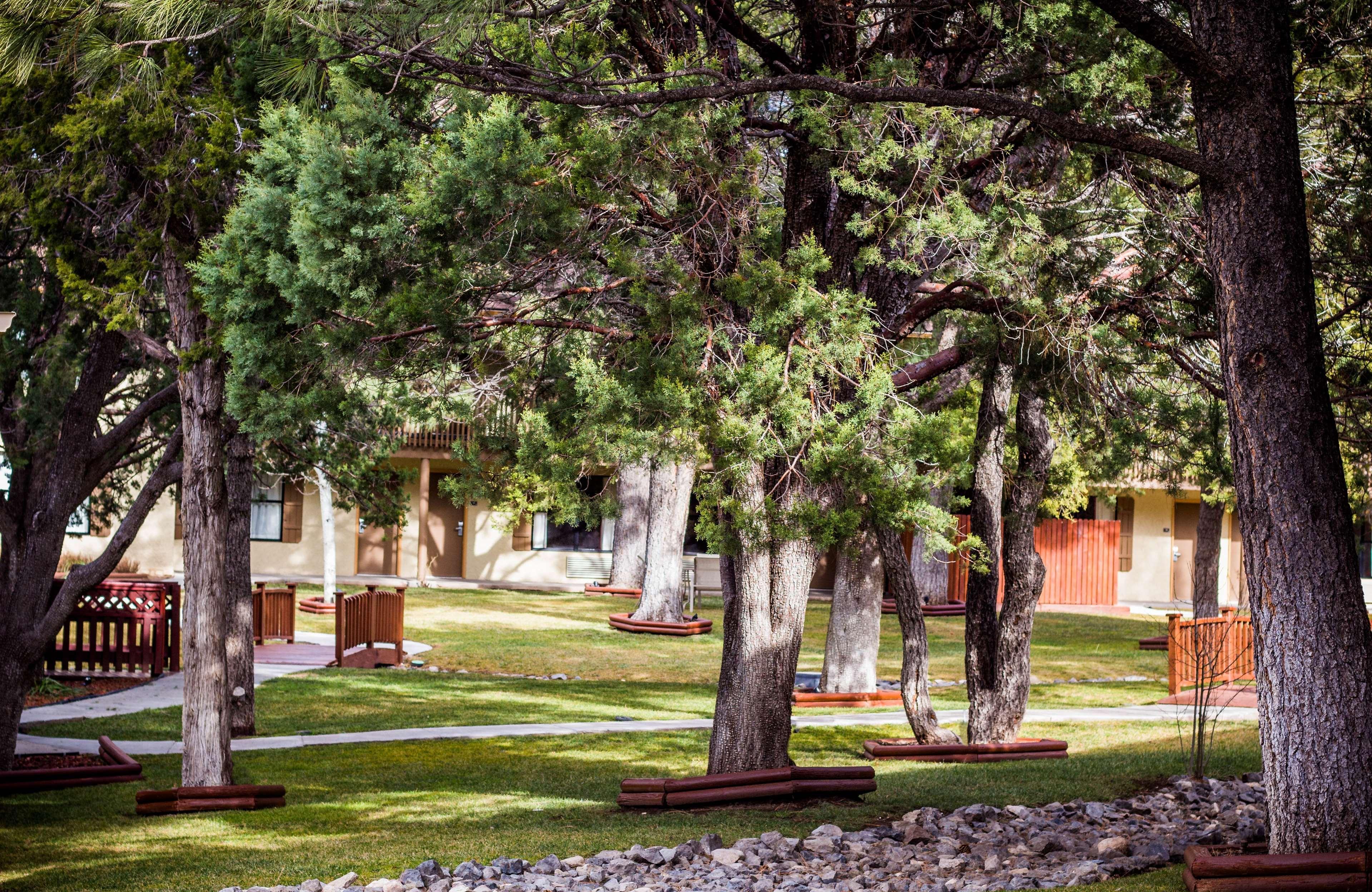 Best Western Pine Springs Inn Ruidoso Downs Екстериор снимка